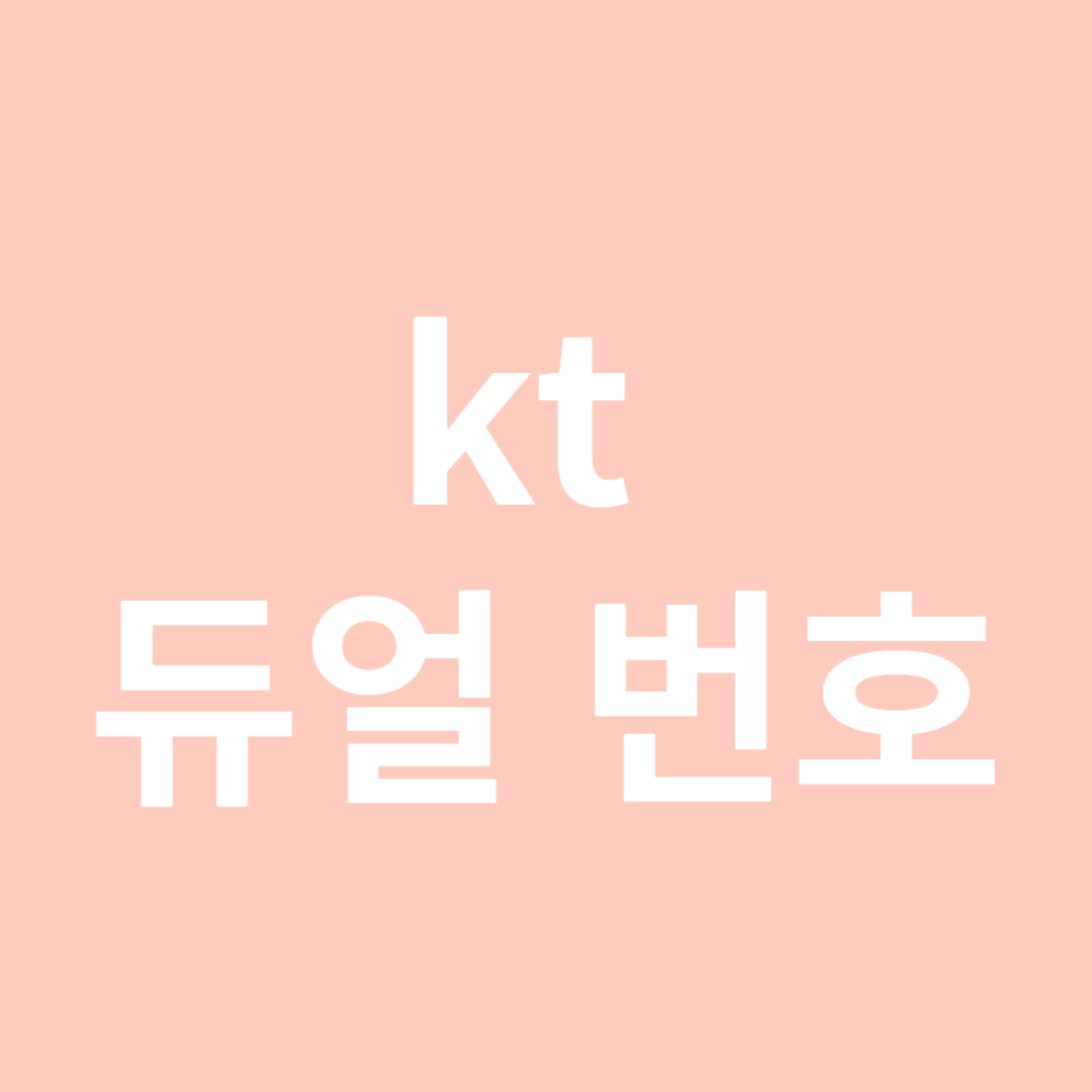 kt 듀얼번호