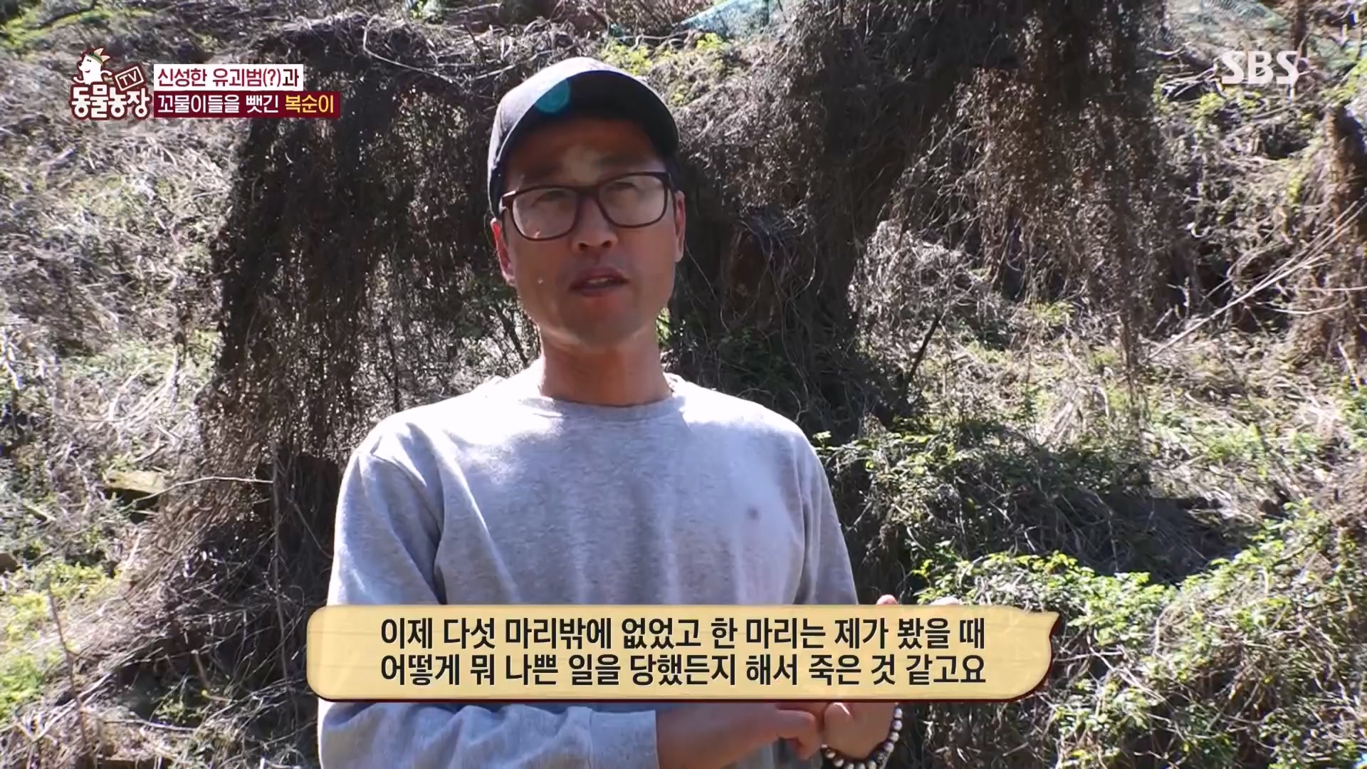 TV 동물농장.E1118.230423p.H264-F1RST.mp4_20230423_181108.999.jpg