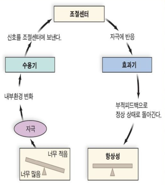  [파워 운동생리학] 운동생리학의 기본 항상성에 대하여 알아보자 !