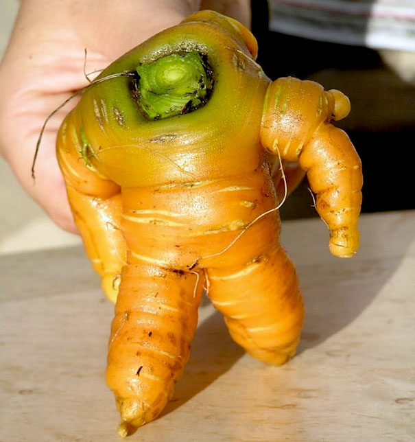 img.jpg