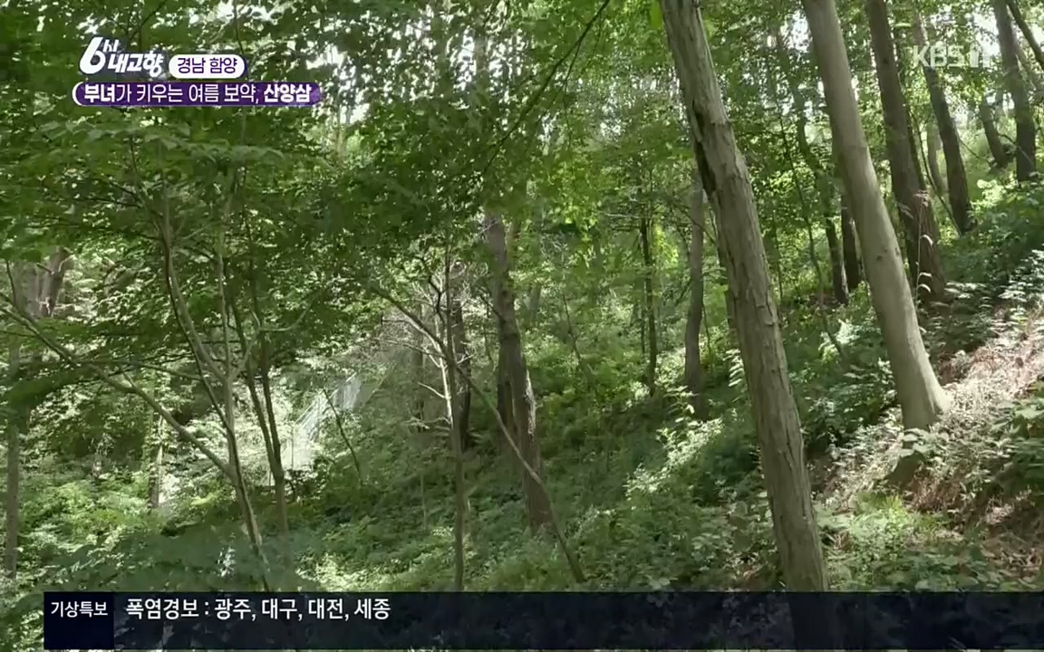 6시 내고향.E7571.220709p.H264-F1RST.mp4_20220709_174221.822.jpg