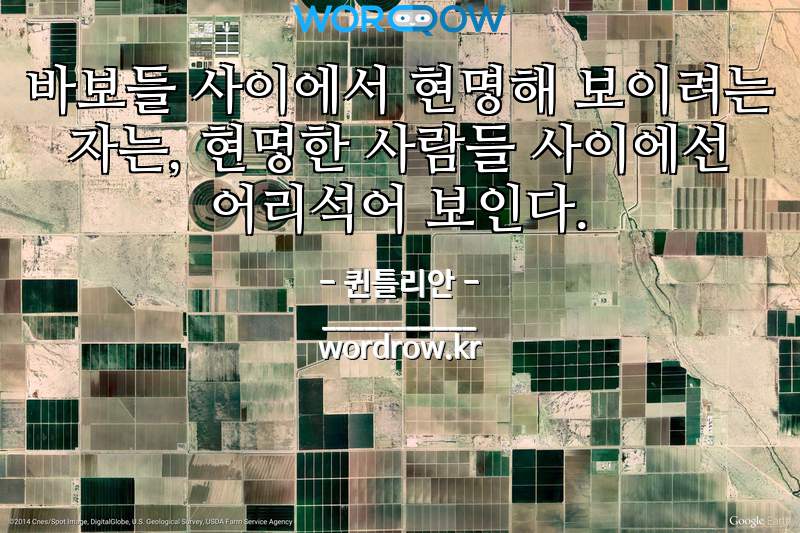   뚜뚜월드
