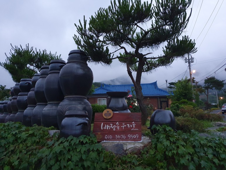 경옥고 만들기 경옥고 효능 경옥고 복용법 경옥고 부작용 7