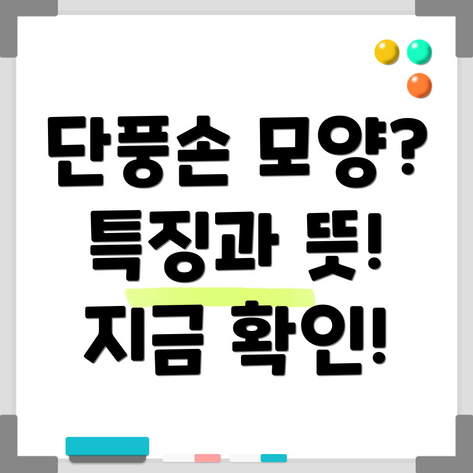 단풍손