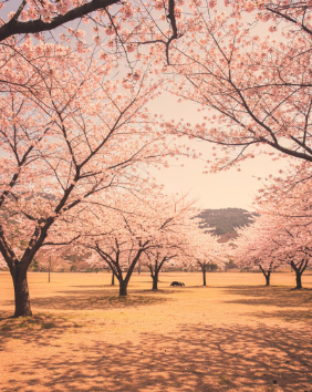 춘분 뜻