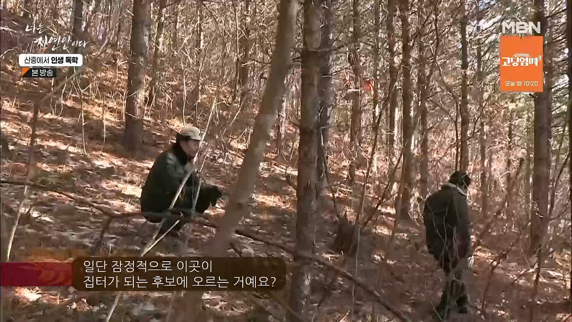 나는 자연인이다.E539.230201p.H264-F1RST.mp4_20230204_181744.681.jpg