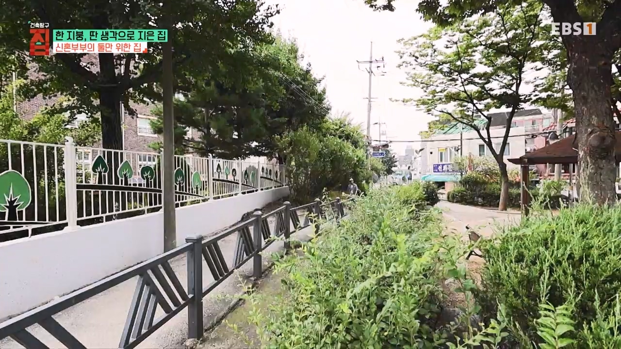 TV - 전 국민의 평생학교 EBS한 지붕, 딴 생각으로 지은 집.mp4_20231226_204006.503.jpg
