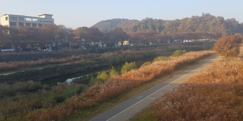 2024.11 전주천의 아침