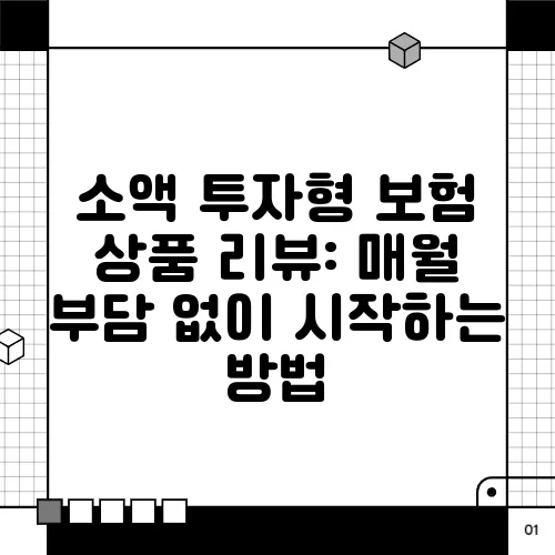 소액 투자형 보험 상품 리뷰: 매월 부담 없이 시작하는 방법