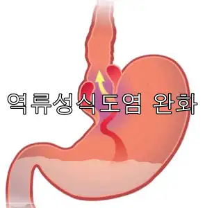 매스틱 효능
