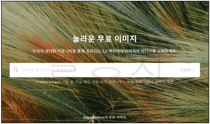  저작권 없는 무료 이미지 다운로드 사이트 6가지(+상업적 이용)
