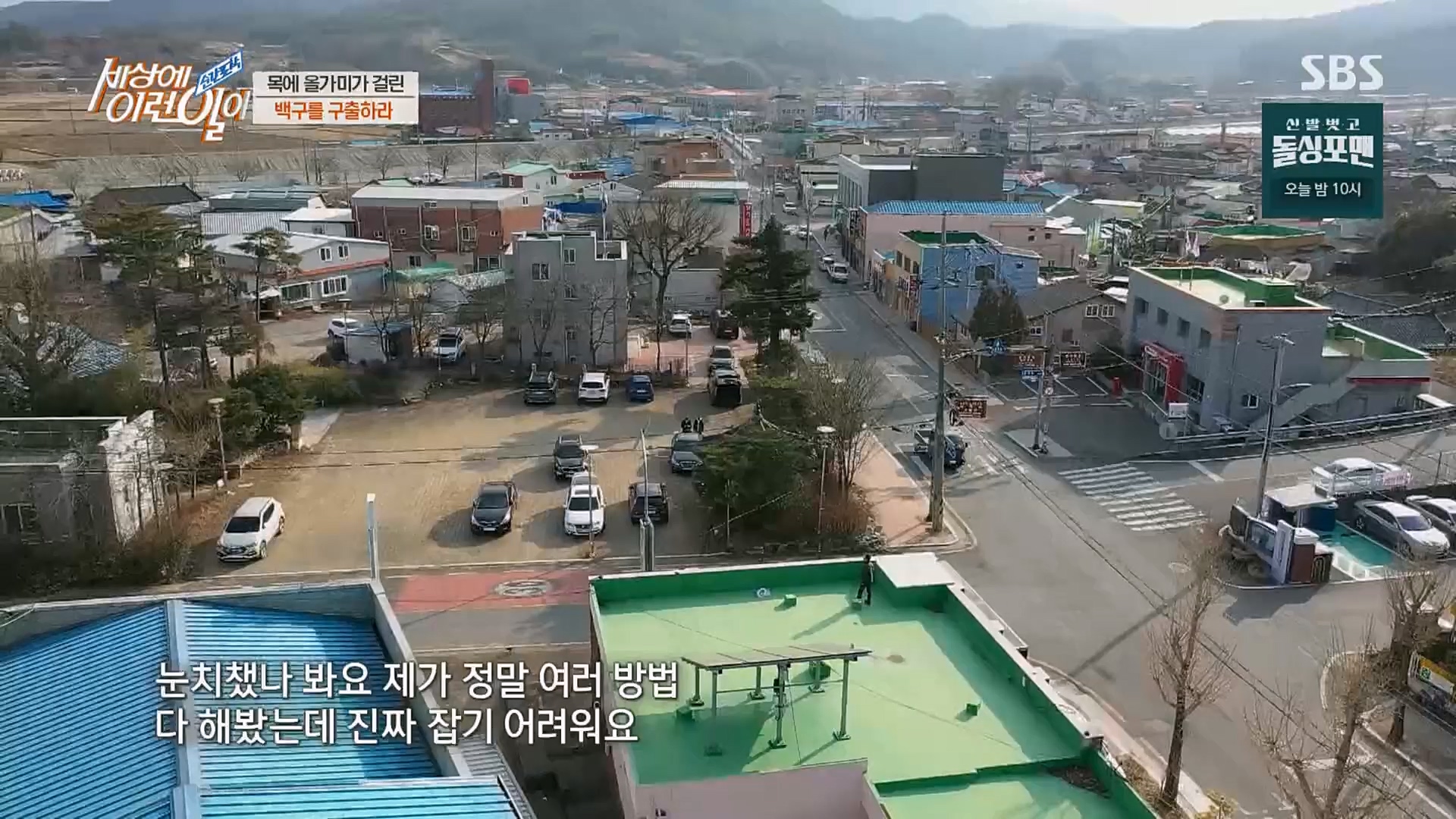 순간포착 세상에 이런일이.E1219.230228p.H264-F1RST.mp4_20230301_165033.135.jpg