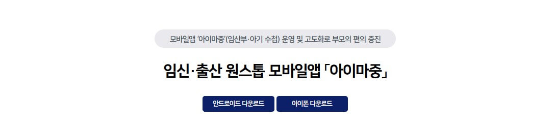 임산부 영양제 지원받는 법 (철분제,엽산제) 보건소이용팁
