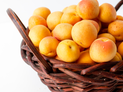 살구 효능 10가지 16