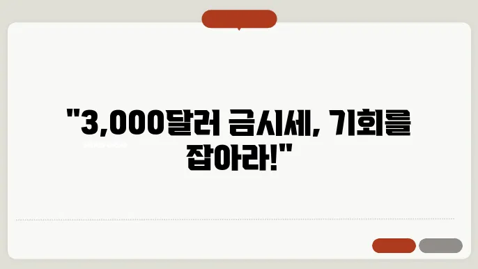 국제 금시세 3,000달러 도전 국내 금etf 추천, 트럼프 시대 진정한 효자