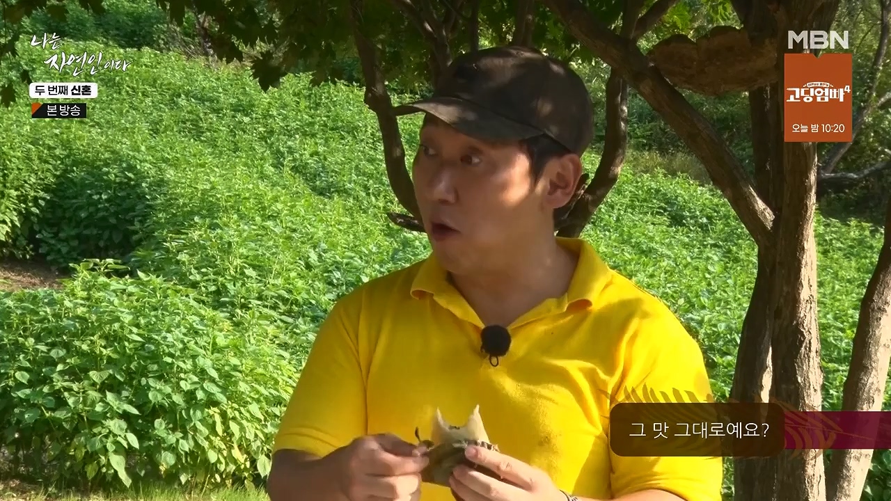 나는 자연인이다.E572.230921p-NEXT.mp4_20230921_202644.031.jpg