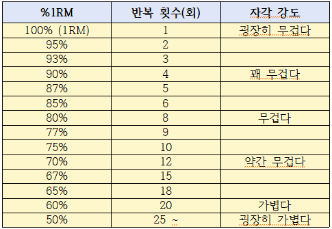 트레이닝 프로그램