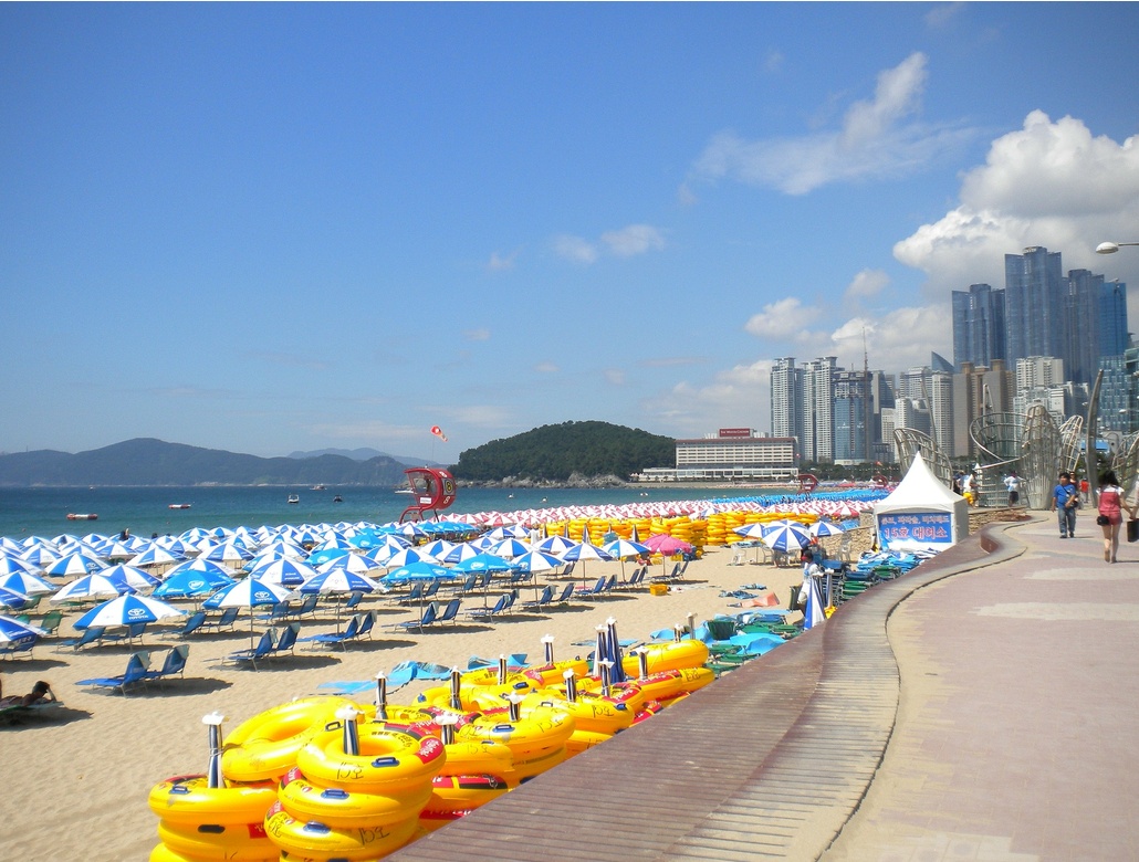 해파리 쏘임 예방법
