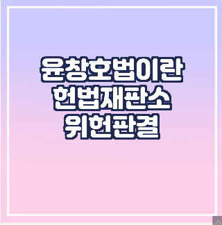 윤창호법, 위헌판결
