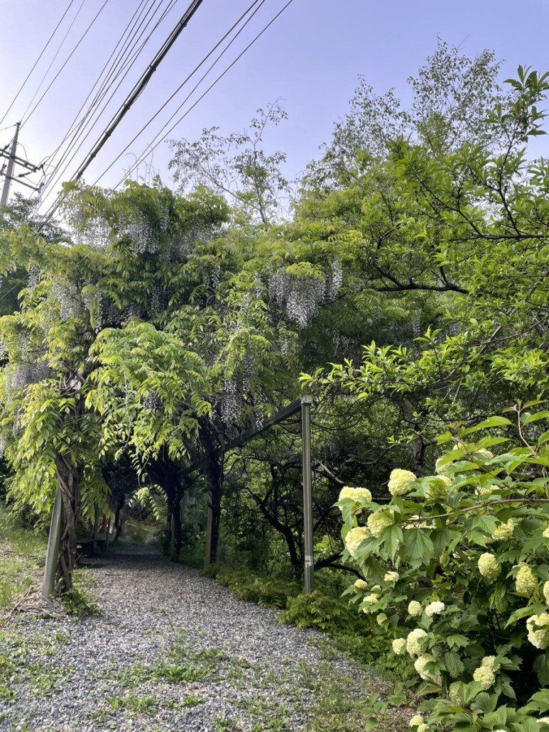 민주지산