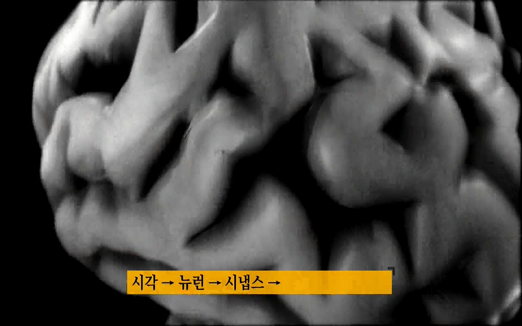 다큐 프라임 - TV - 교육의 중심 EBS자본주의 2부. 소비는 감정이다.mp4_20220512_193652.005.jpg