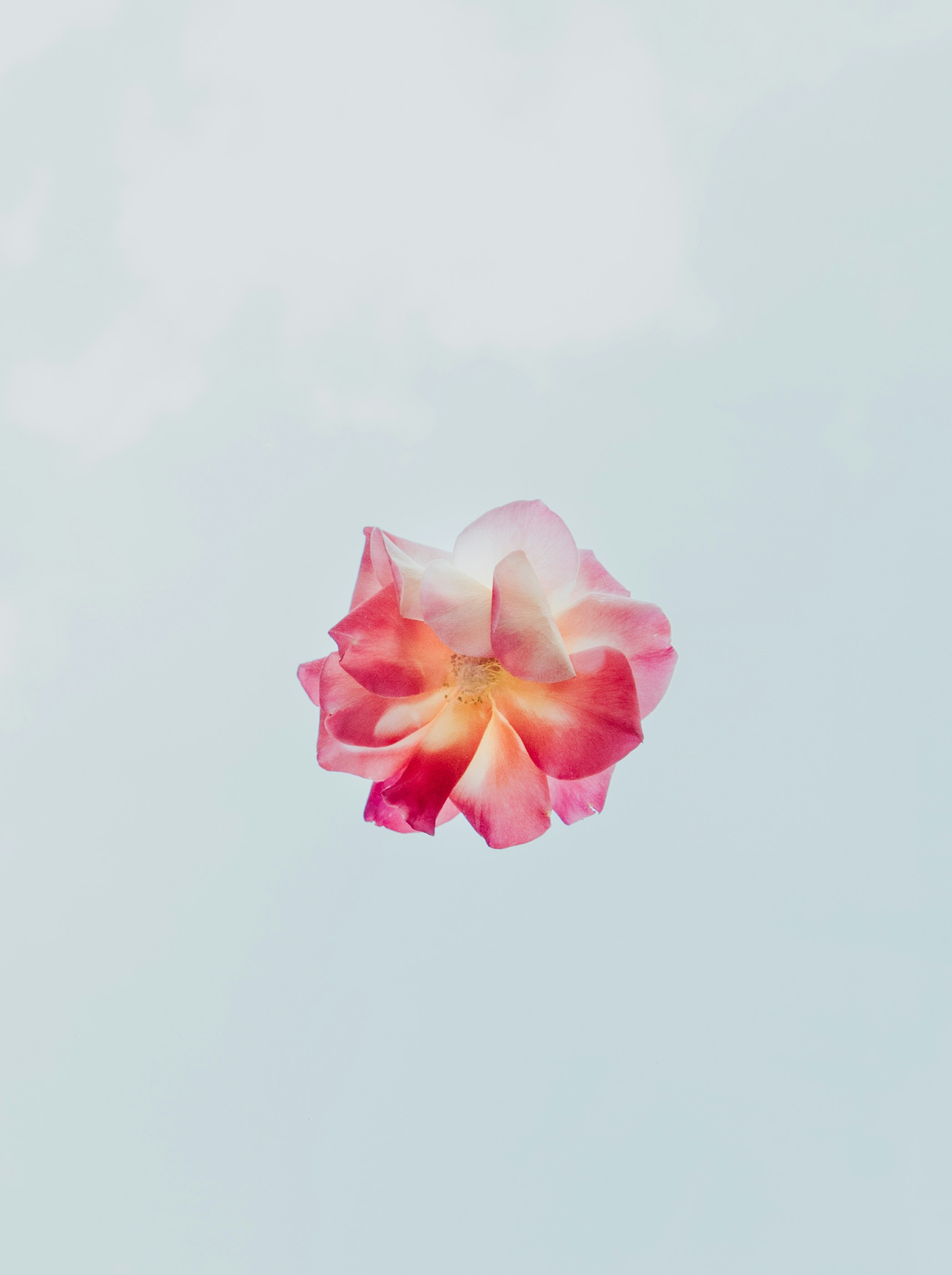 영국 직구 관세 알아보기 - FAQ - 모든 영역 영국 직구 관세 알아보기 - FAQ - 모든 영역