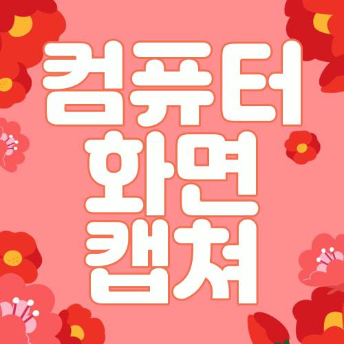 컴퓨터 화면 캡쳐