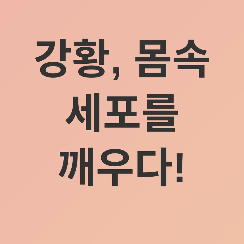 강황의 효능_2