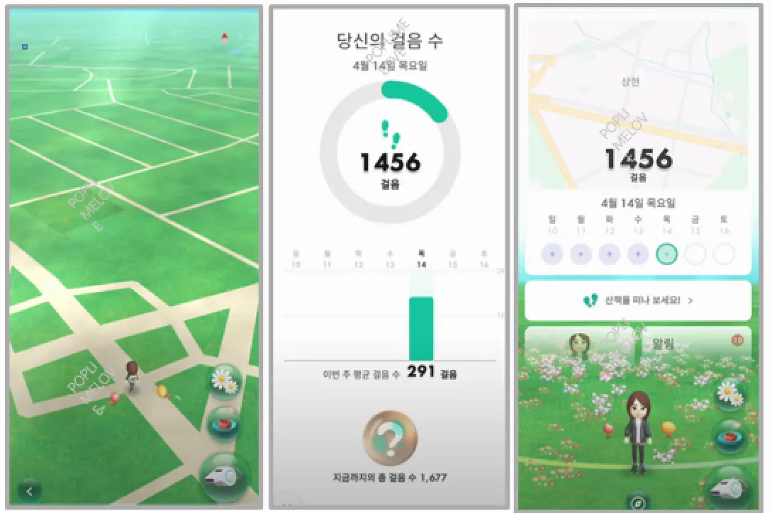 당신의 걸음수