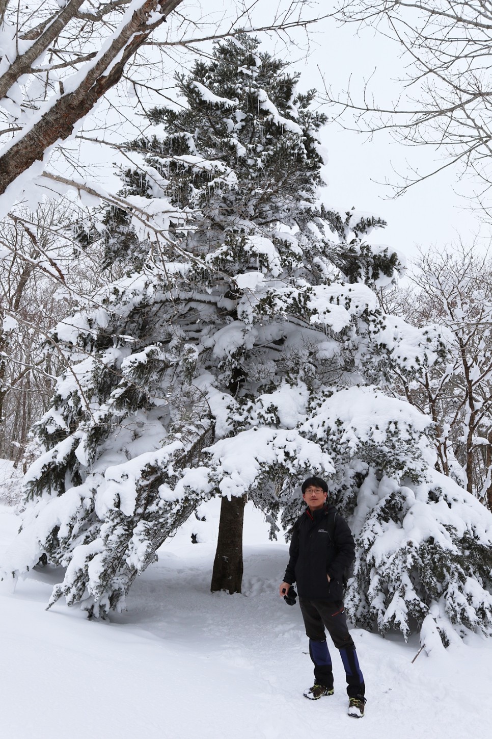 눈쌓인 겨울산 이미지 15