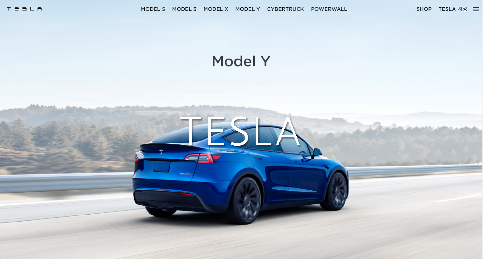 Tesla_Main_Homepage_Image