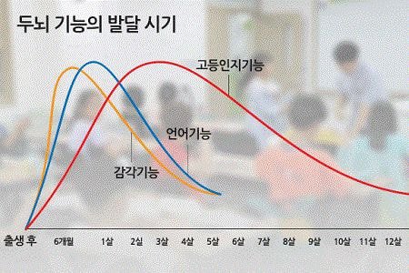  우리가 5살 이전을 기억못하는 이유