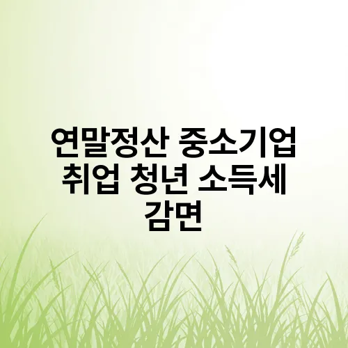 연말정산 중소기업 취업 청년 소득세 감면