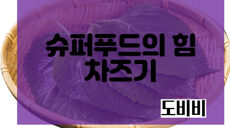  슈퍼푸드의 힘 차즈기, 차즈기의 효능 및 루테인과 차이점