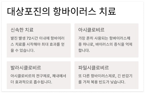 대상포진 항바이러스 치료