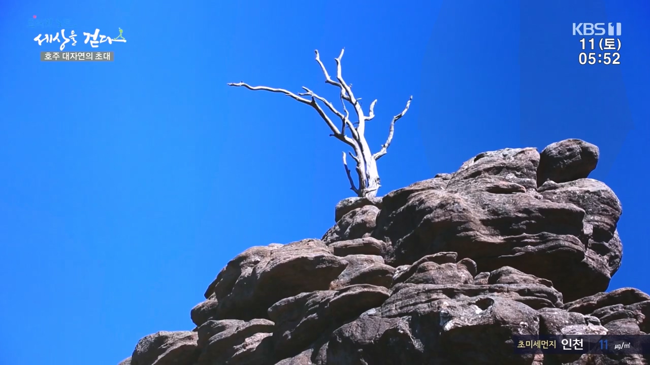 트레킹노트 세상을 걷다.E296.231112p-NEXT.mp4_20231111_182058.851.jpg
