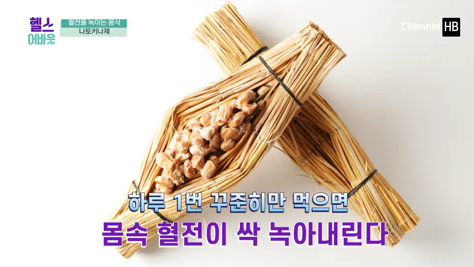 혈전용해제 나토키나제