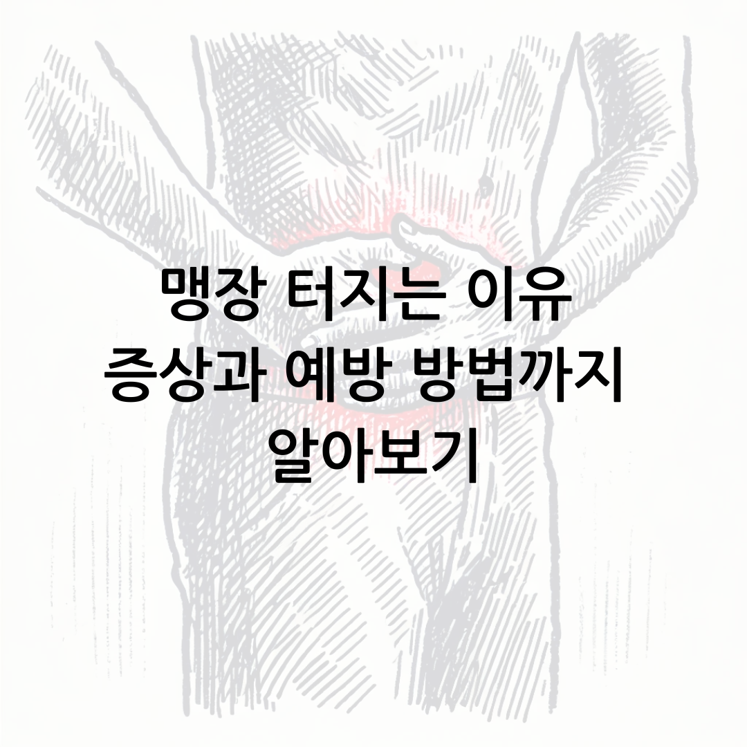 맹장 터지는 이유 증상과 예방 방법까지 알아보기 썸네일