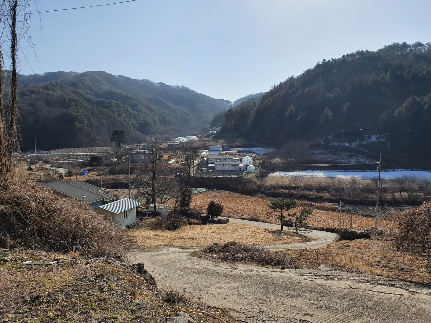 시골의 한적한 풍경