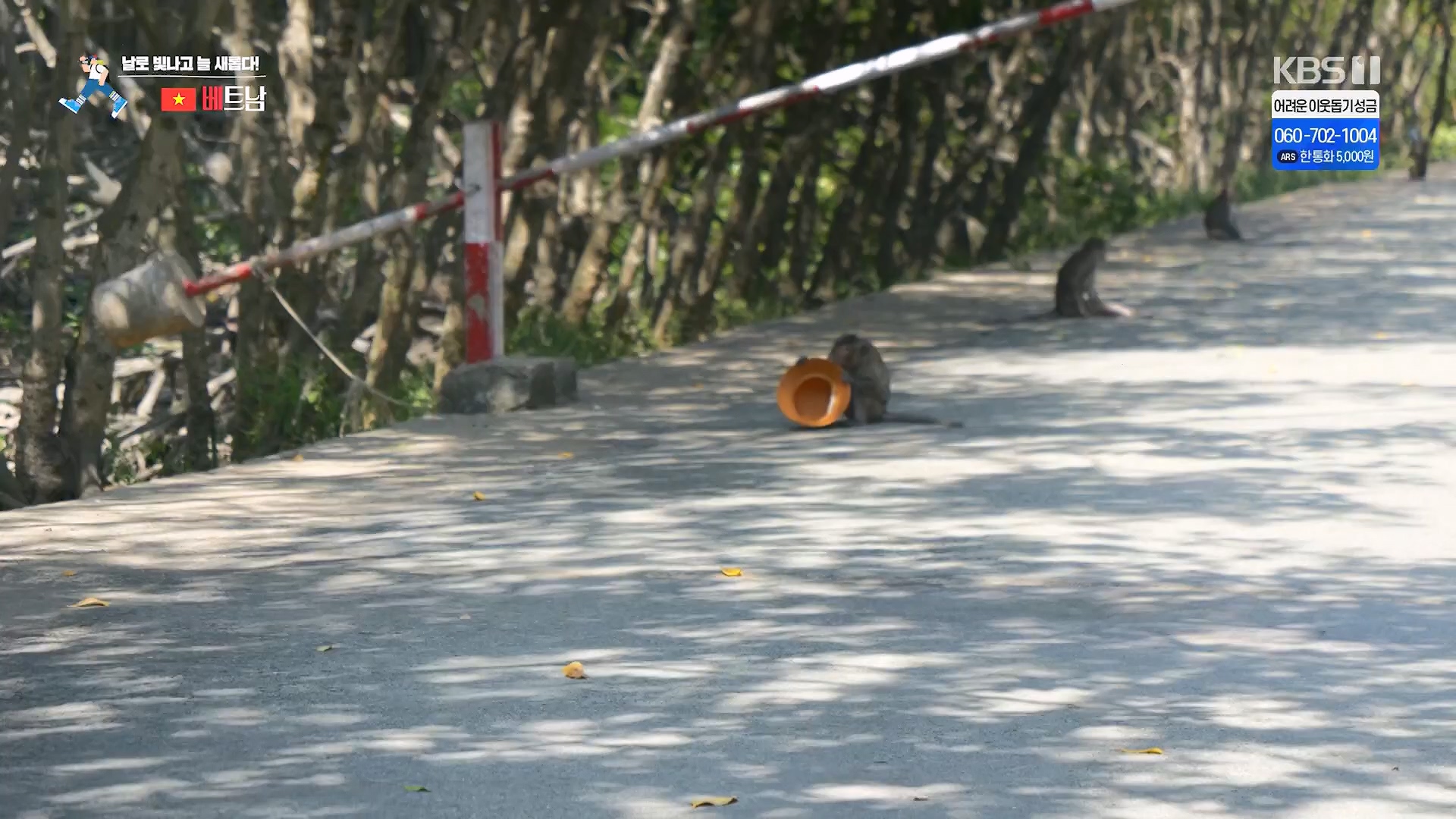 걸어서 세계속으로.E826.240120p.H264-F1RST.mp4_20240716_202843.397.jpg