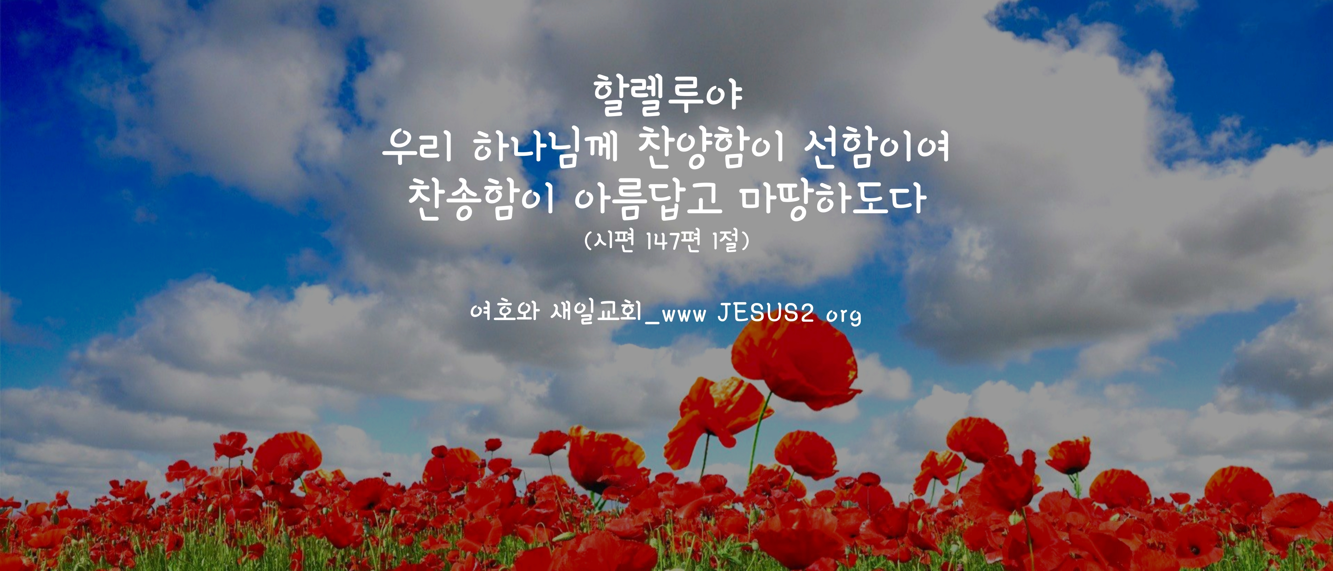  새일교회 난구절특강 | 30. 땅의 모든 족속이 아브라함을 인하여 복받는 일 (창 12:3)