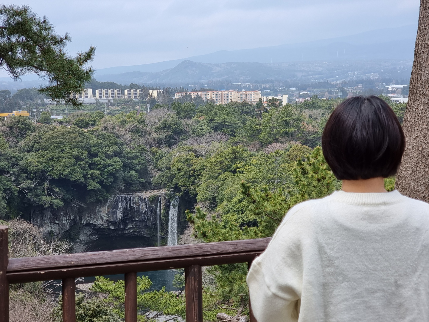 멀리서바라보는 천지연폭포