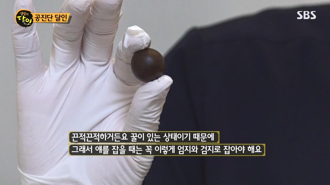 생활의 달인.E937.240528p-NEXT.mp4_20240528_195610.957.jpg