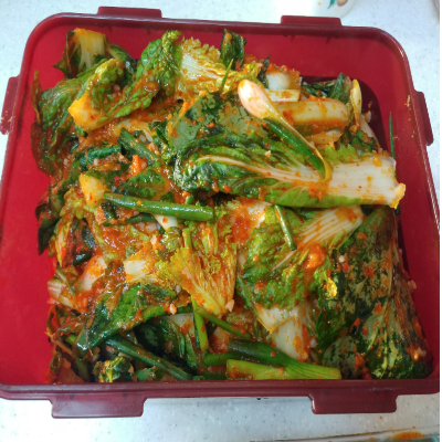  얼갈이김치