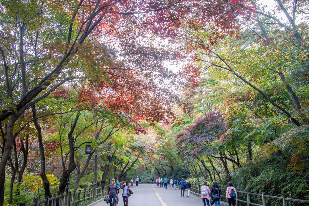 남산둘레길 10월 28일 상황 단풍