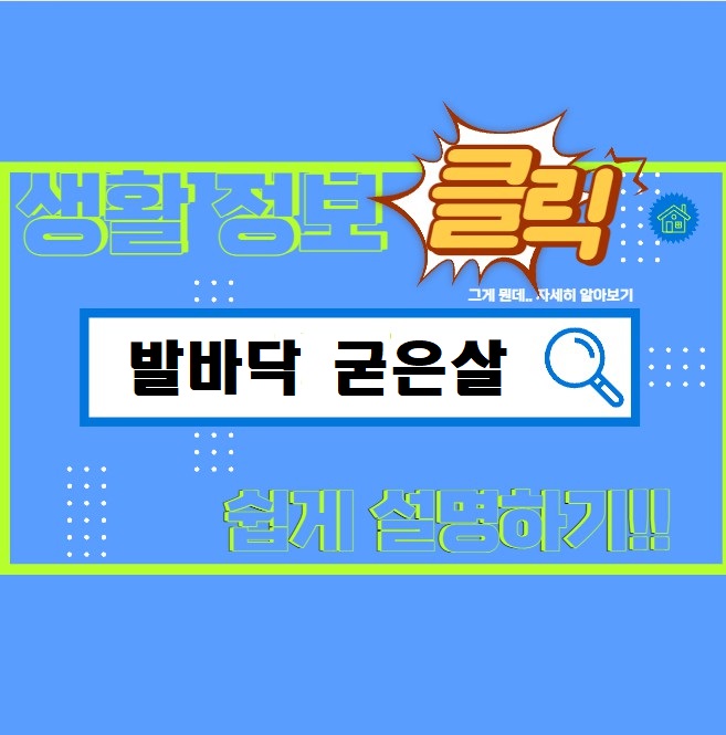 생활정보