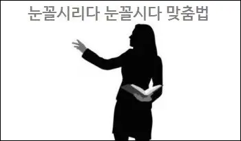 눈꼴시리다 눈꼴시다 맞춤법