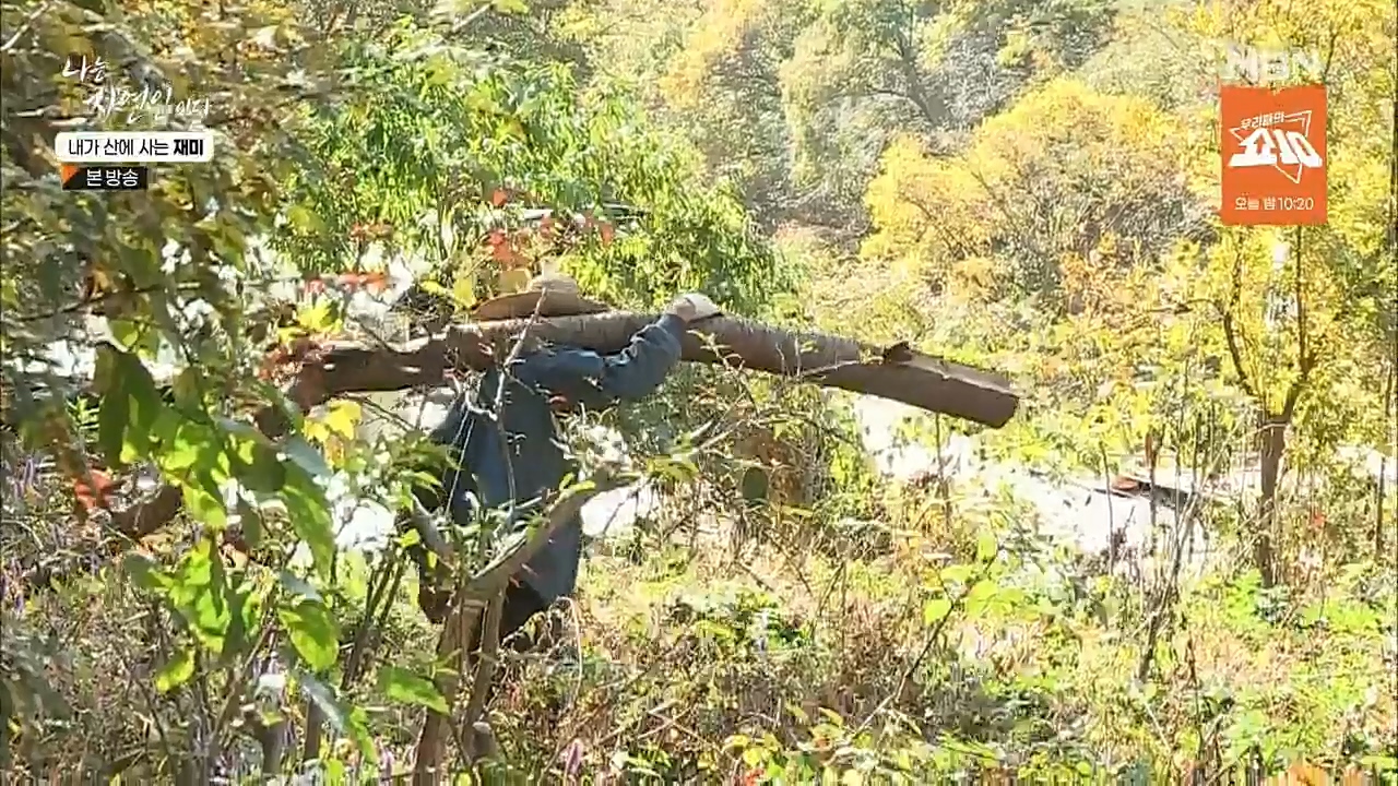 나는 자연인이다.E529.221124p.H264-F1RST.mp4_20221124_194717.289.jpg
