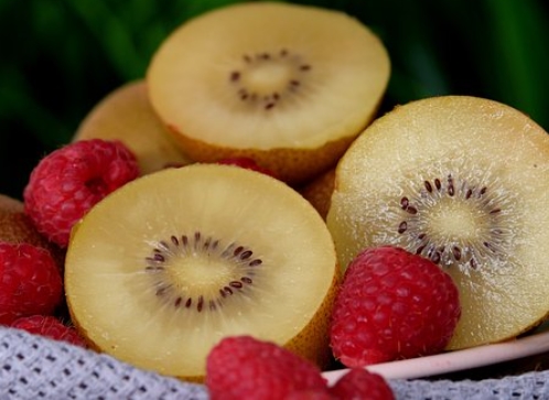 건강에-좋은-과일