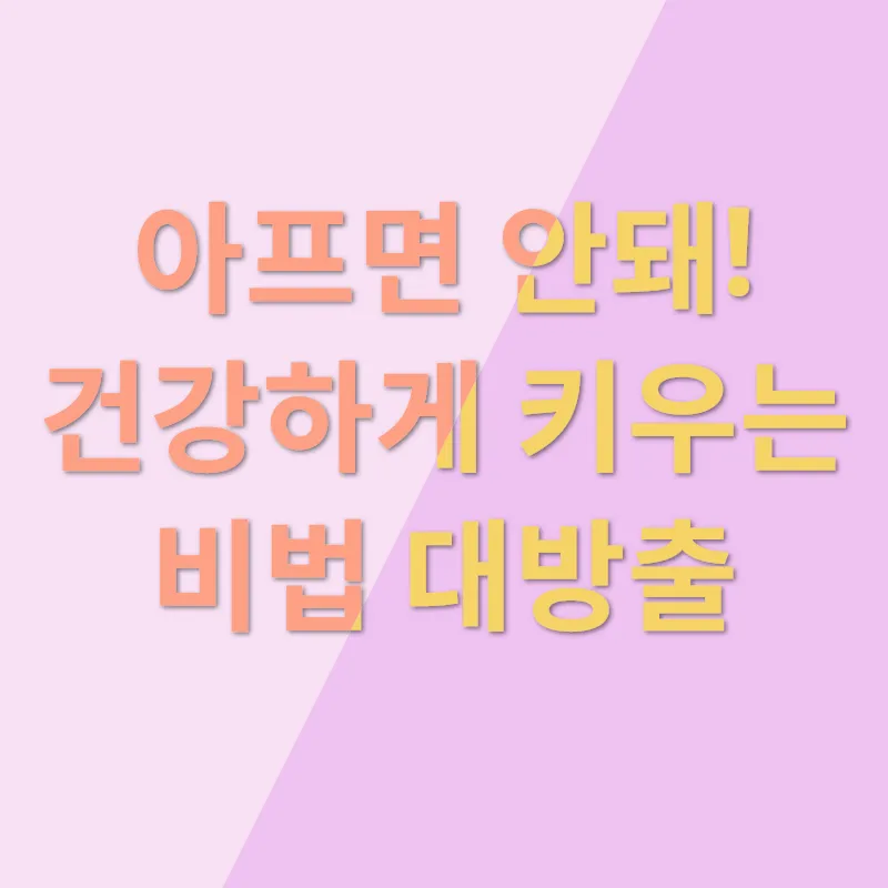 육지거북이 행복_3